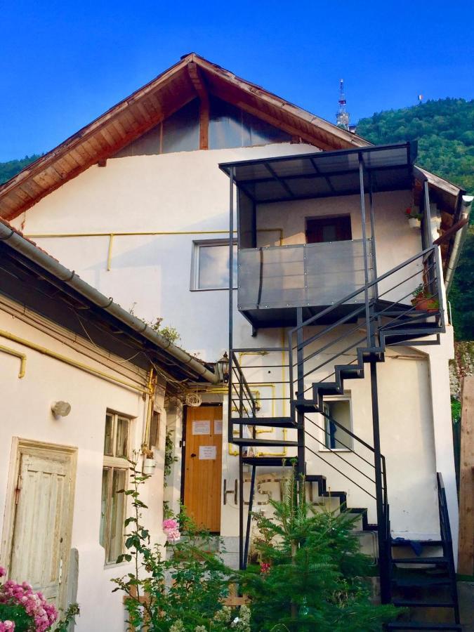 Downtown Hostel 브라쇼브 외부 사진