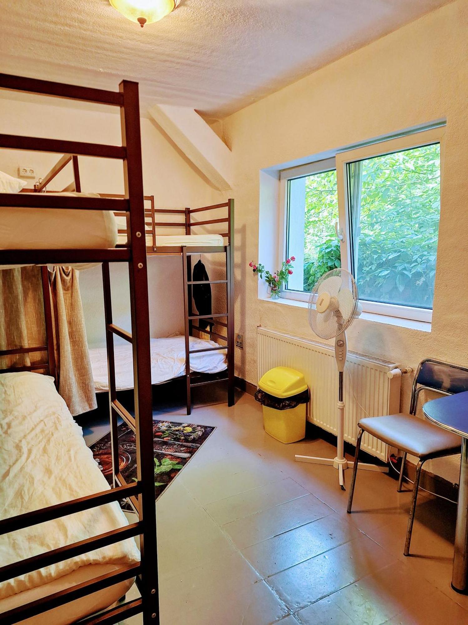 Downtown Hostel 브라쇼브 외부 사진