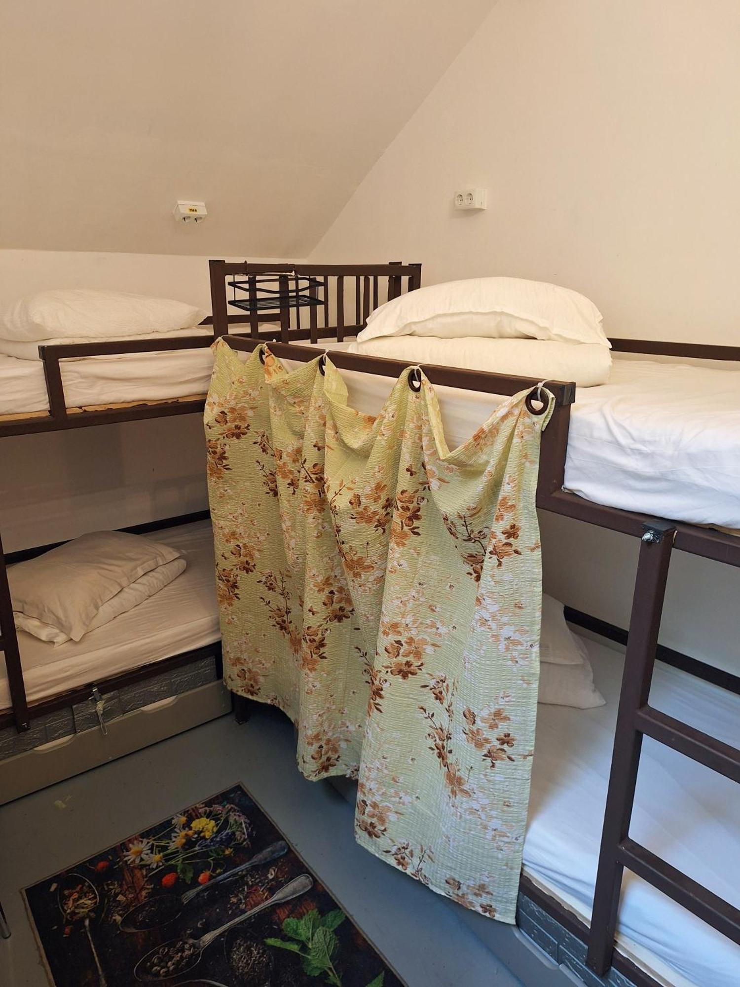 Downtown Hostel 브라쇼브 외부 사진